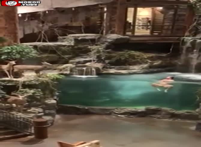 Video :Following a vehicle accident, he jumps into a fishing store's pool while nude